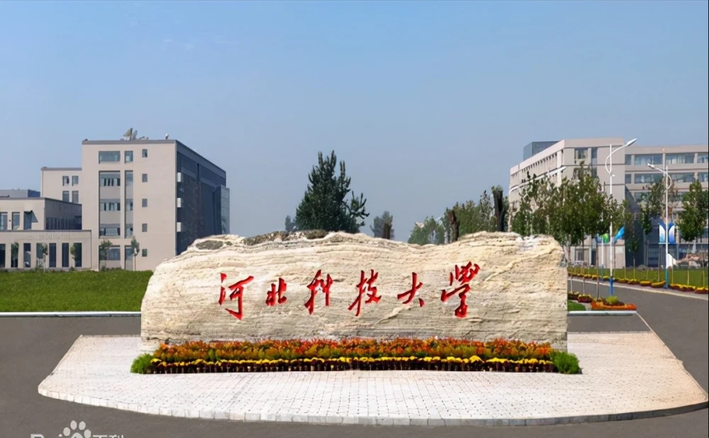 科技.webp.jpg